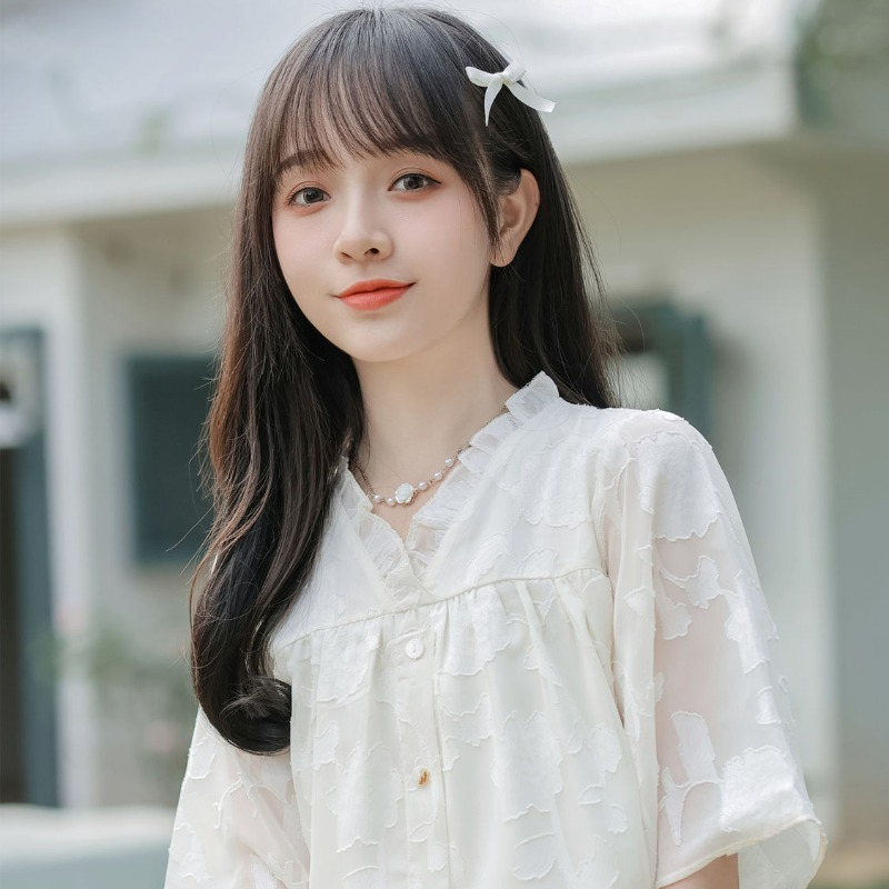 シフォンシャツ＆ブラウス レディース 半袖 Vネック ファッ - Xl Women'S Fashion のレビューと価格