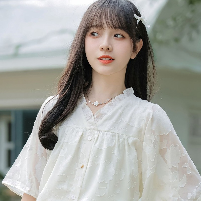 シフォンシャツ＆ブラウス レディース 半袖 Vネック ファッ - Xl Women'S Fashion のレビューと価格