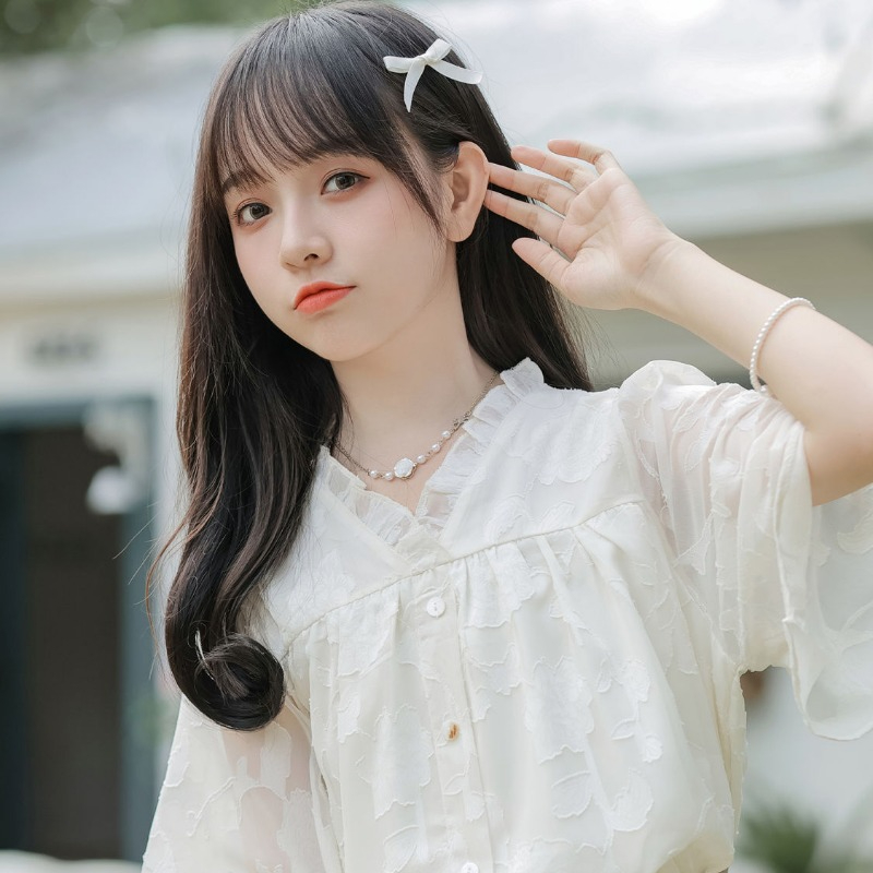 シフォンシャツ＆ブラウス レディース 半袖 Vネック ファッ - Xl Women'S Fashion のレビューと価格