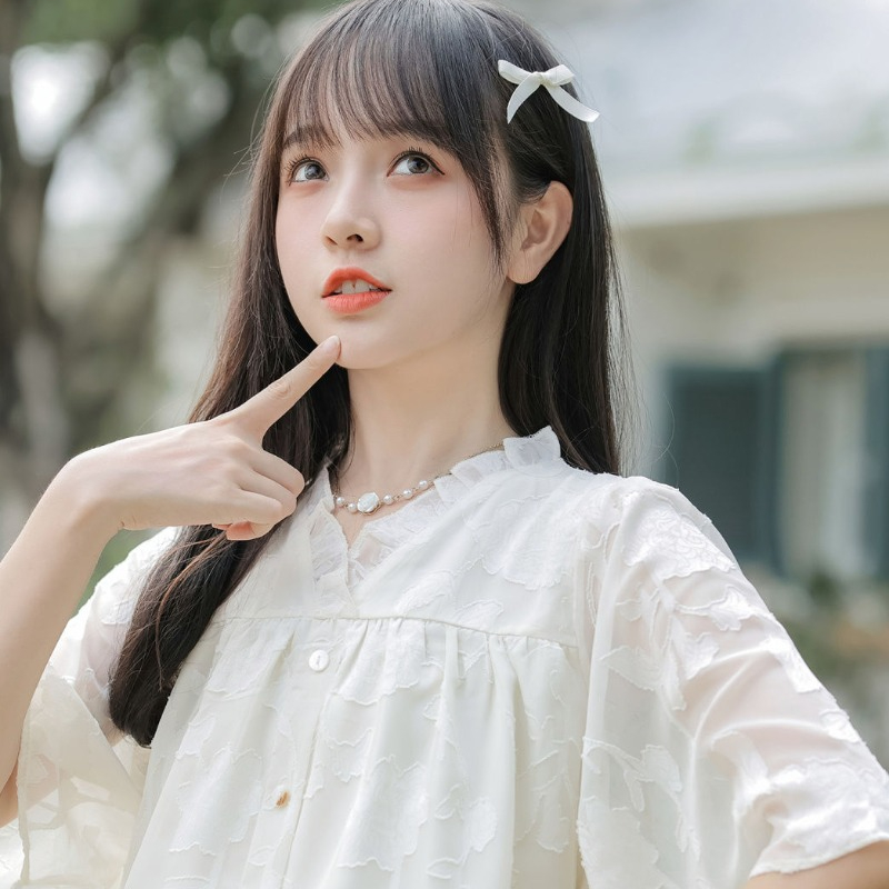 シフォンシャツ＆ブラウス レディース 半袖 Vネック ファッ - Xl Women'S Fashion のレビューと価格